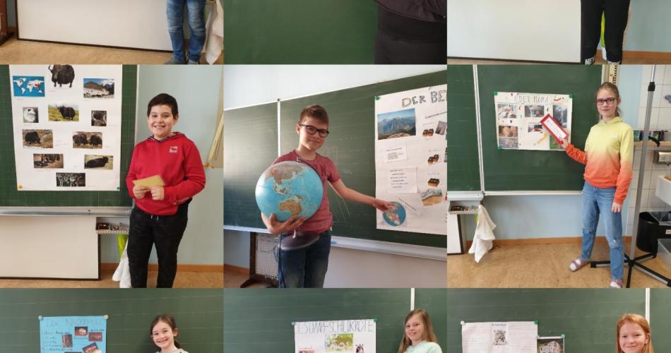 Referat