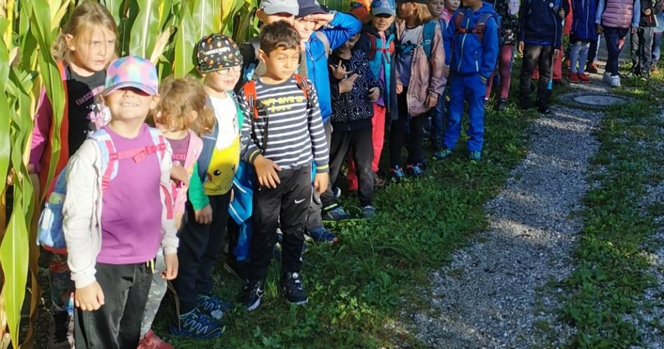 Wandertag